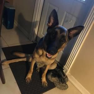 Meet your Posher, Diego